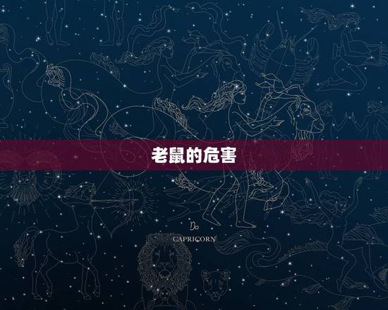老鼠的危害 老鼠的危害