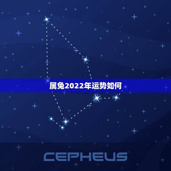 属兔2022年运势如何，属兔人2022年财运1987年属兔在2022年