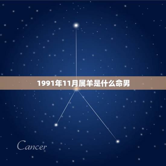 1991年11月属羊是什么命男，属羊91年11月是什么命