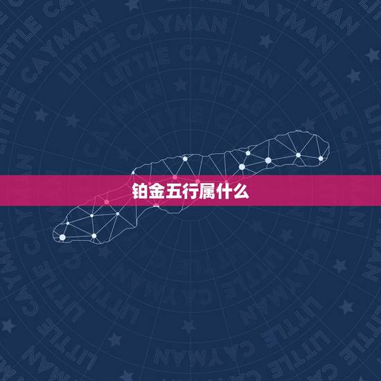 铂金五行属什么，白金辰在五行里面都属什么