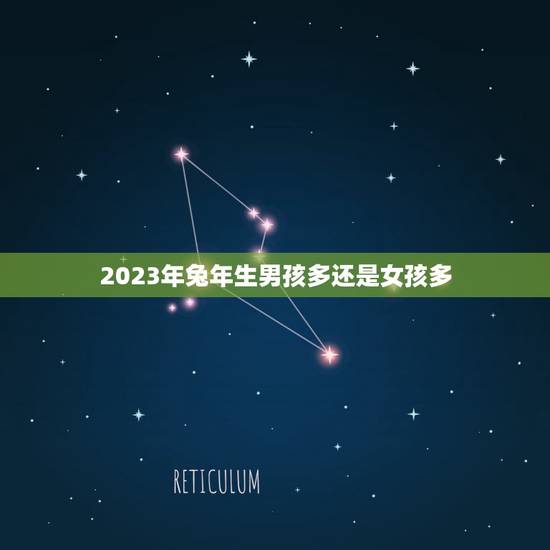 2023年兔年生男孩多还是女孩多，2023年属什么生肖2023年属相是