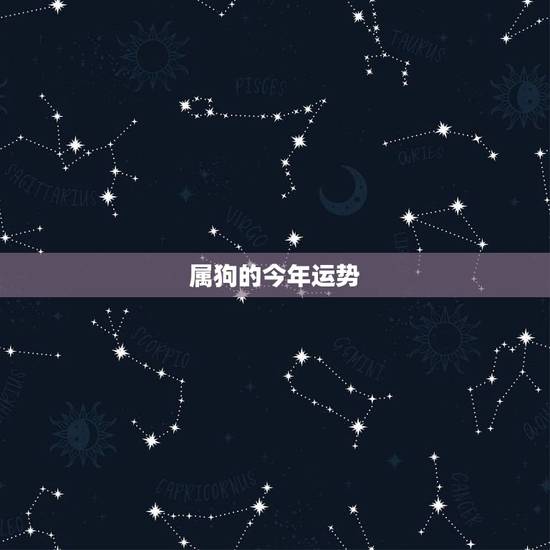 属狗的今年运势,属狗人未来十年运势预测 属狗的今年运势,属狗人未来十年运势预测