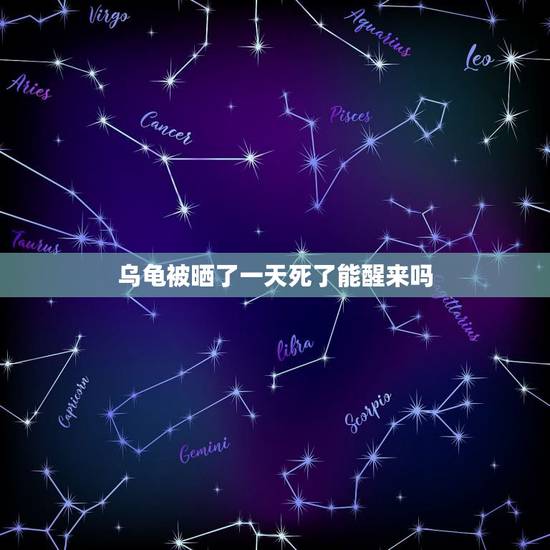 乌龟被晒了一天死了能醒来吗，小乌龟晒完太阳好像快死了？能救吗？我该怎么
