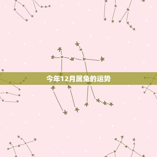 今年12月属兔的运势，今年2015属兔的运势
