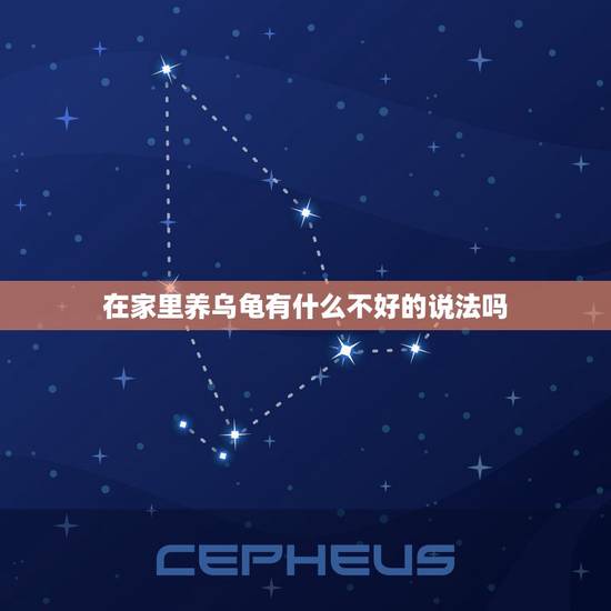 在家里养乌龟有什么不好的说法吗，家里养乌龟有什么讲究吗