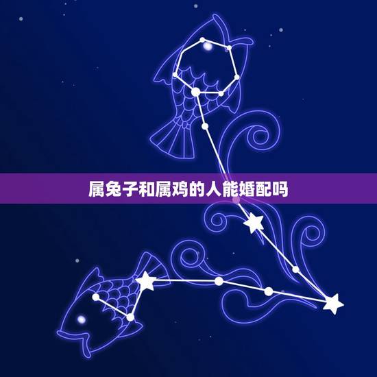 属兔子和属鸡的人能婚配吗，属鸡男和属兔女相配如何呢？