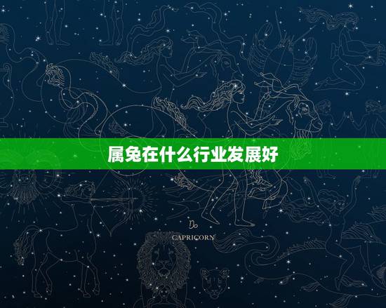 属兔在什么行业发展好，75年属兔人47岁后运程