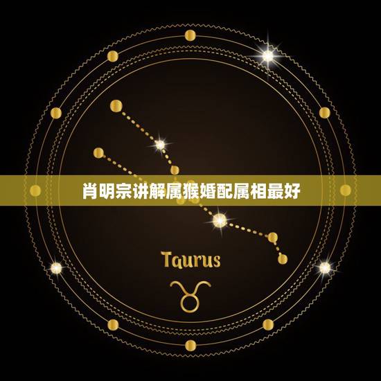 肖明宗讲解属猴婚配属相最好，93年生的人和属什么生肖的相配