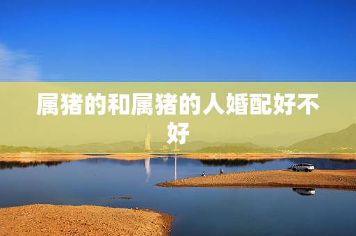 属猪的和属猪的人婚配好不好,猪和猪相克吗 属猪的和属猪的人婚配好不好,猪和猪相克吗