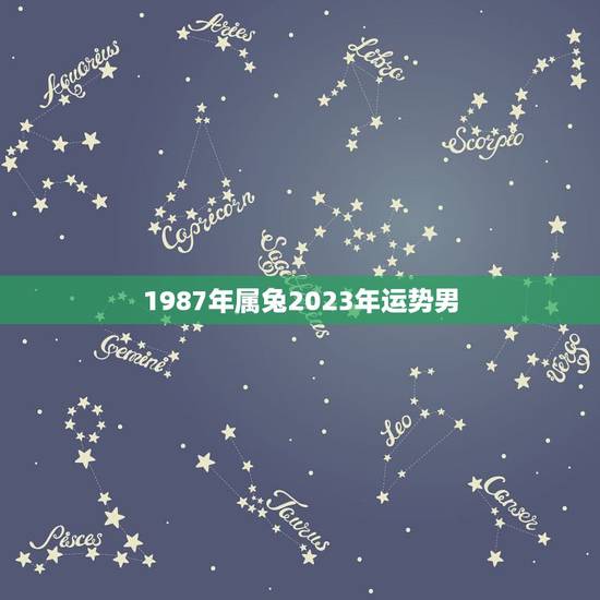 1987年属兔2023年运势男,87年属兔本历年运势 1987年属兔2023年运势男,87年属兔本历年运势