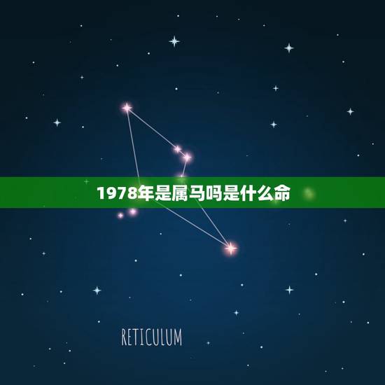 1978年是属马吗是什么命，1978年属马五行属什么