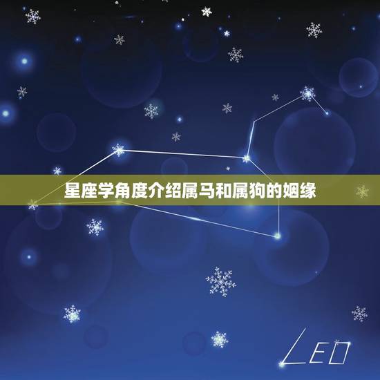 星座学角度介绍属马和属狗的姻缘