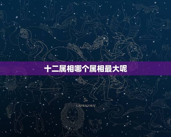 十二属相哪个属相最大呢，十二生肖中什么属相最大。