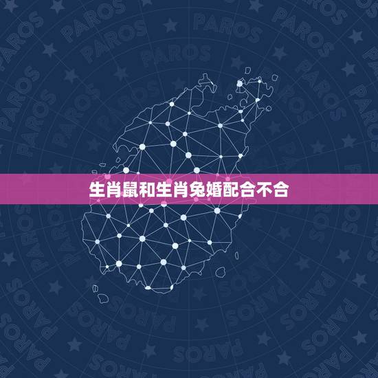 生肖鼠和生肖兔婚配合不合，属兔和属鼠合不合