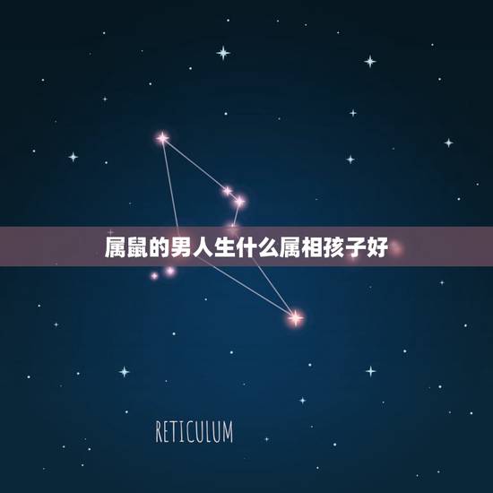 属鼠的男人生什么属相孩子好，女属鼠，男属虎，生什么属相好呢？