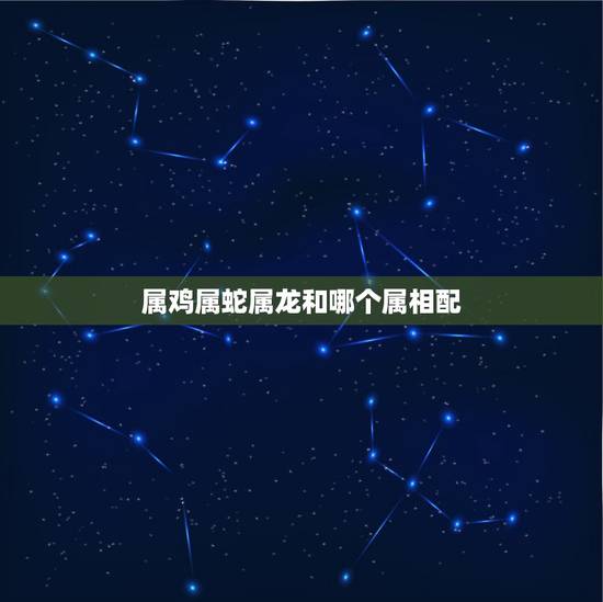 属鸡属蛇属龙和哪个属相配，属鸡和什么属相最配_与鸡最投缘的是龙，其次就