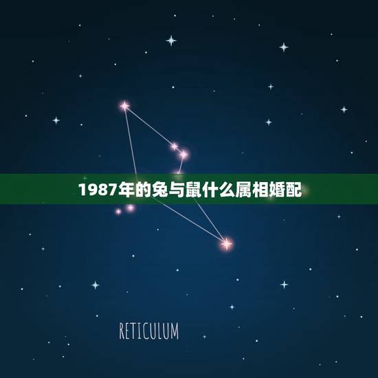 1987年的兔与鼠什么属相婚配，87年女兔的和什么属相相配