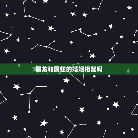 属龙和属蛇的婚姻相配吗，属猪和属蛇的婚姻相配