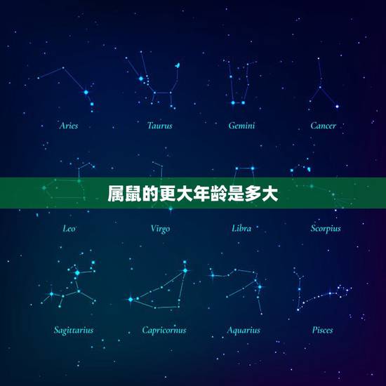 属鼠的更大年龄是多大,属鼠2022 年运势及运程 属鼠的更大年龄是多大,属鼠2022 年运势及运程