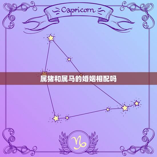 属猪和属马的婚姻相配吗 男属猪与女属马的婚姻