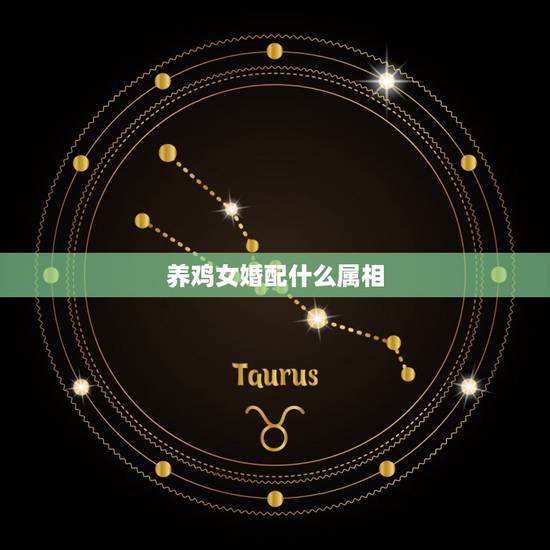 养鸡女婚配什么属相,属相婚配表,来看你的属相配什么最好 养鸡女婚配什么属相,属相婚配表,来看你的属相配什么最好