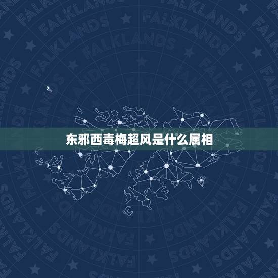 东邪西毒梅超风是什么属相,东邪西毒梅超风能注解成什么动物 东邪西毒梅超风是什么属相,东邪西毒梅超风能注解成什么动物