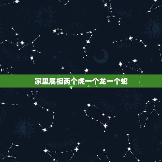 家里属相两个虎一个龙一个蛇,一家三口,一个属蛇,一个属龙,一个属虎,老 家里属相两个虎一个龙一个蛇,一家三口,一个属蛇,一个属龙,一个属虎,老