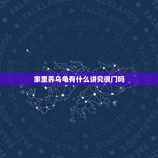 家里养乌龟有什么讲究很门吗，养乌龟有讲究吗？说我的走开