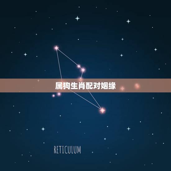 属狗生肖配对姻缘,属狗的和属狗的婚姻配不配 属狗生肖配对姻缘,属狗的和属狗的婚姻配不配