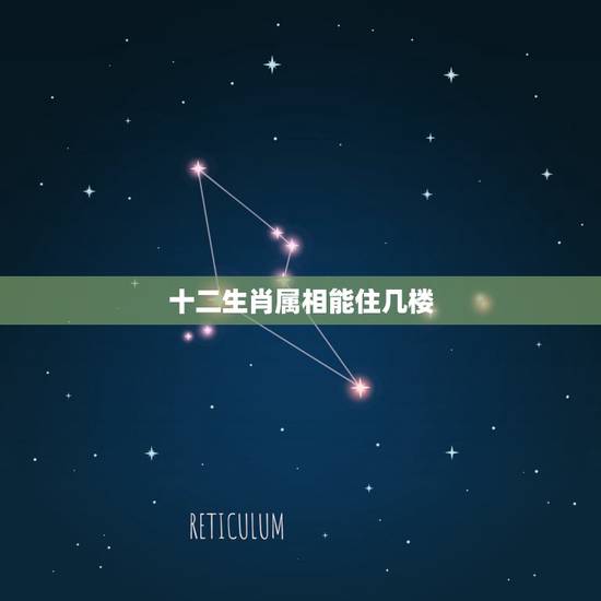 十二生肖属相能住几楼,什么样的属相住几什么样的楼层房子? 十二生肖属相能住几楼,什么样的属相住几什么样的楼层房子?