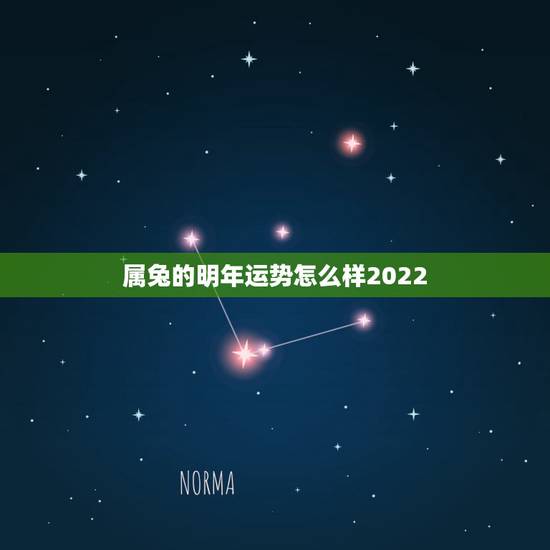 属兔的明年运势怎么样2022,属蛇33岁是个坎是真的吗 属兔的明年运势怎么样2022,属蛇33岁是个坎是真的吗