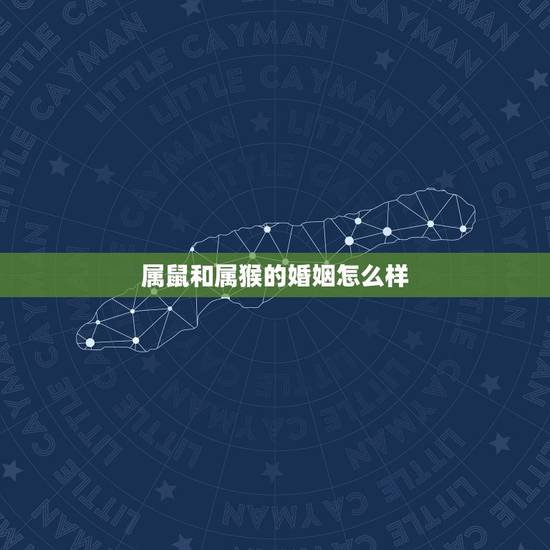 属鼠和属猴的婚姻怎么样，属鼠和属猴结婚好吗