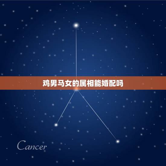鸡男马女的属相能婚配吗，女属鸡和男属马属相配吗