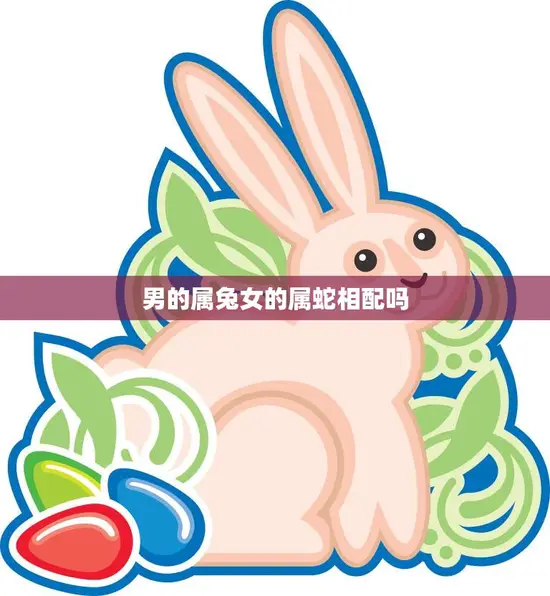男的属兔女的属蛇相配吗(如何看待这种组合) 男的属兔女的属蛇相配吗(如何看待这种组合)
