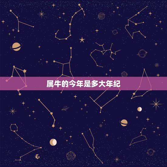 属牛的今年是多大年纪,牛今年多大年龄了? 属牛的今年是多大年纪,牛今年多大年龄了?