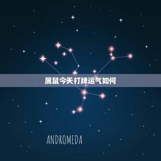 属鼠今天打牌运气如何，鼠人今日打麻将运气