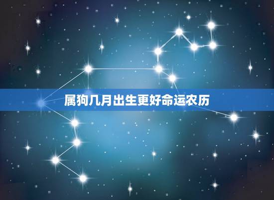 属狗几月出生更好命运农历，属狗今年运程每月运势