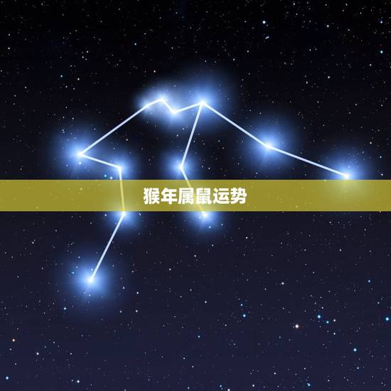 猴年属鼠运势,属鼠的人猴年运程 猴年属鼠运势,属鼠的人猴年运程