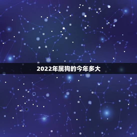 2022年属狗的今年多大，属狗40岁后有十年大运