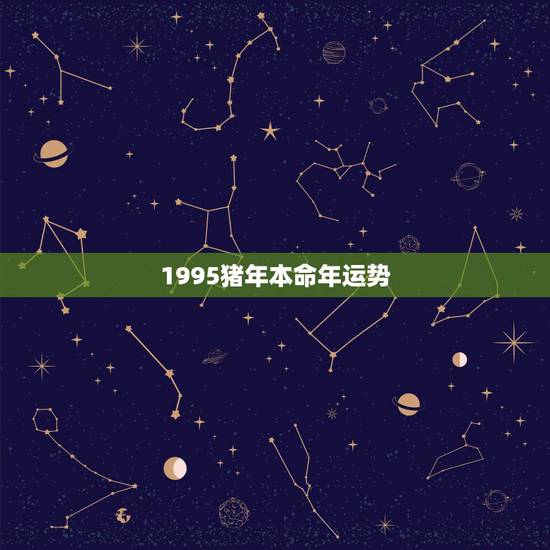 1995猪年本命年运势,我是年轻人老实人出生于1995年属猪的,今年2 1995猪年本命年运势,我是年轻人老实人出生于1995年属猪的,今年2