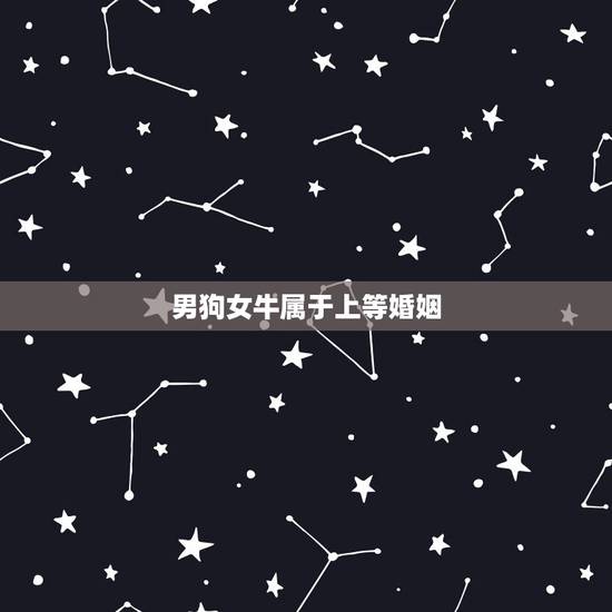 男狗女牛属于上等婚姻,男狗女牛的婚姻顺利吗 男狗女牛属于上等婚姻,男狗女牛的婚姻顺利吗