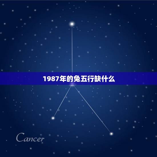 1987年的兔五行缺什么，兔五行缺什么