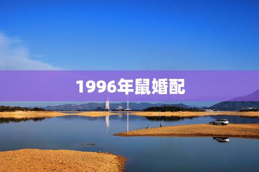 1996年鼠婚配，1996年属鼠人的命运
