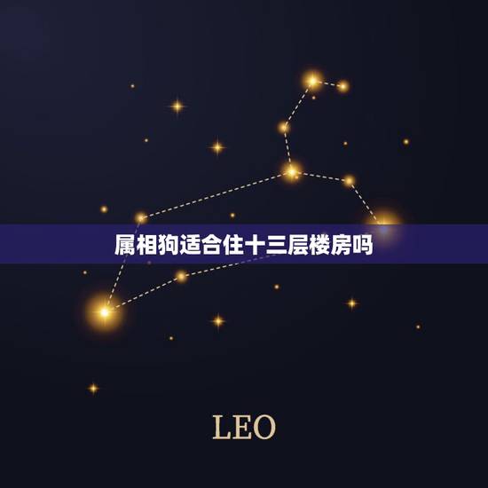 属相狗适合住十三层楼房吗，属相鸡狗住房33层买12层好不