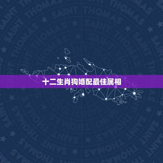 十二生肖狗婚配最佳属相,狗属相婚配表大全 属狗的和什么属相般配 十二生肖狗婚配最佳属相,狗属相婚配表大全 属狗的和什么属相般配