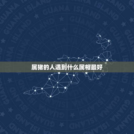 属猪的人遇到什么属相最好,属猪的和什么属相合作最好 属猪的人遇到什么属相最好,属猪的和什么属相合作最好