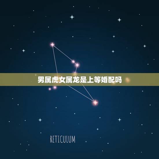 男属虎女属龙是上等婚配吗,属虎男生和属龙女生婚姻配吗 男属虎女属龙是上等婚配吗,属虎男生和属龙女生婚姻配吗