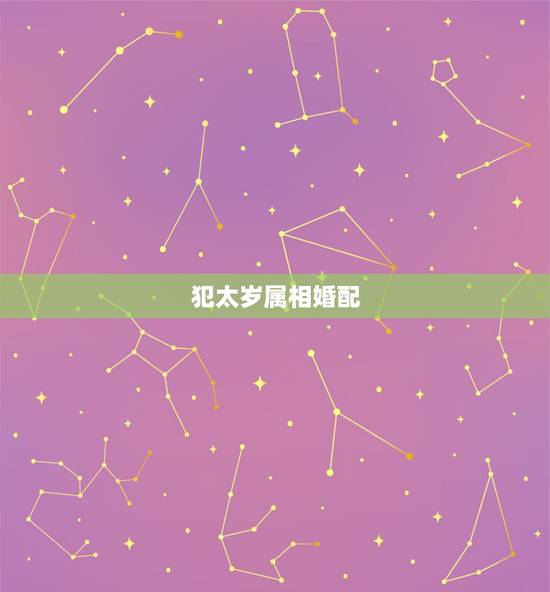 犯太岁属相婚配，功名是什么生肖