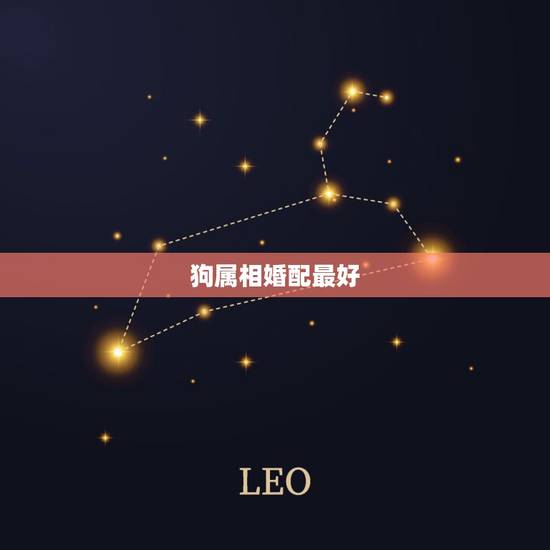 狗属相婚配最好,属狗男的和什么属相最配 狗属相婚配最好,属狗男的和什么属相最配