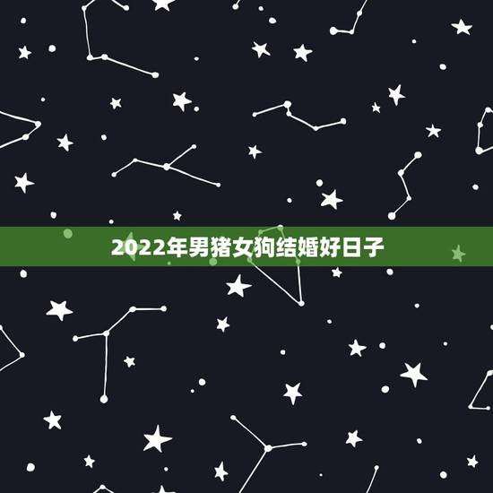 2022年男猪女狗结婚好日子,2022年公历5月5日 2022年男猪女狗结婚好日子,2022年公历5月5日